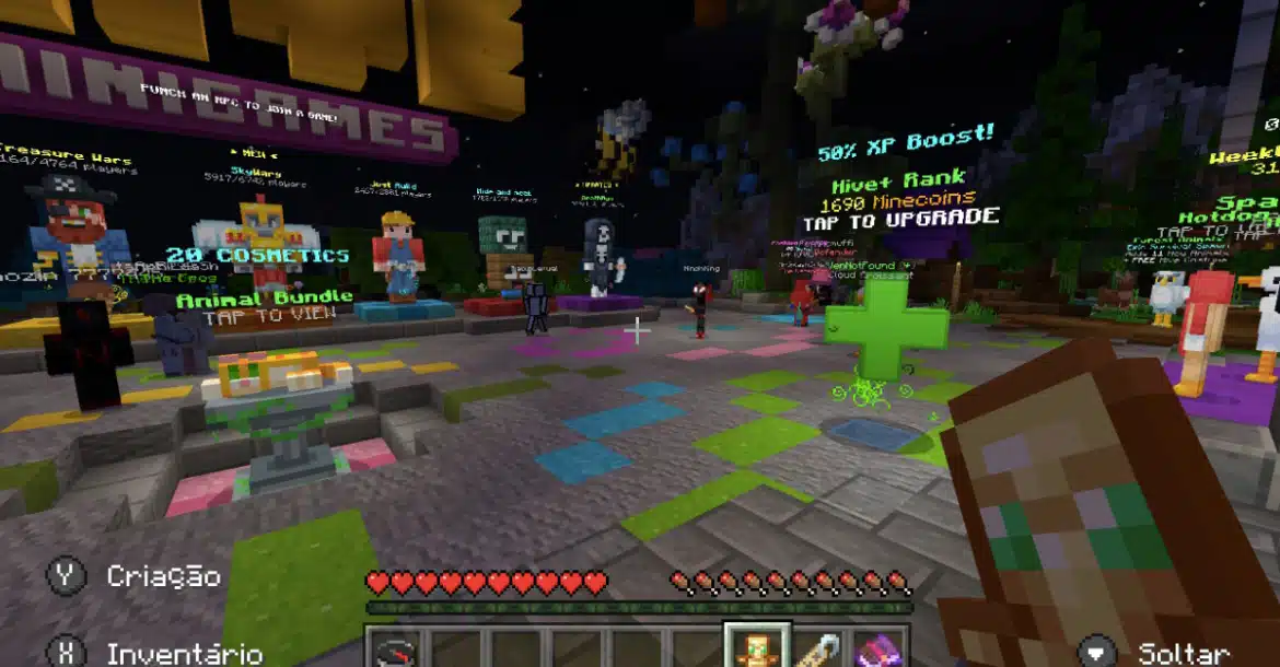 servidor minecraft