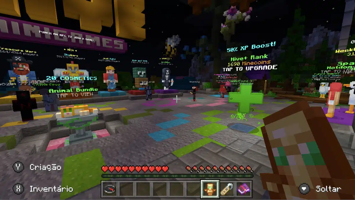 servidor minecraft
